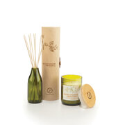 Difuzor Paddywax Eco Green BLOOD PORTOCALE & BERGAMOT (4 oz / 118 ml)