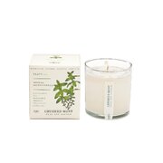 Lumânare parfumată KOBO Plant the Box Crushed Mint (10 oz / 283 g)