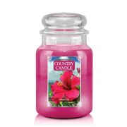 Country Candle Lumanare parfumata mare cu 2 fitiluri (652 g)