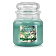 Lumanare Country Candle Tinsel & Thyme Lumanare medie cu 2 fitiluri parfumate (453 g)