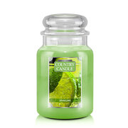 Lumânare Country Sparkling mare cu 2 fitiluri parfumate (652 g)