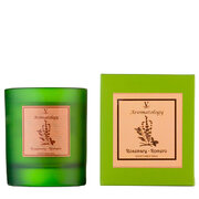 Vila Hermanos Aromatologie Lumanare parfumata Rozmarin 200g