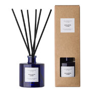 Vila Hermanos Apothecary Blue Cobalt Eucalipt & Menta difuzor 100 ml