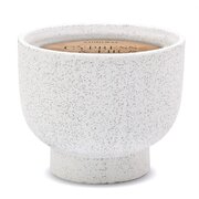 Lumanare parfumata de ciparos si brad Paddywax in borcan de ceramica (14 oz / 396 g)