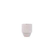 Paddywax Parks Olympic Nation Park Pacific Moss & Mist (11 oz / 311 g)