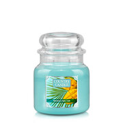 Lumanare Country Candle Mango Nectar lumanare parfumata medie 2 fitil (453 g)