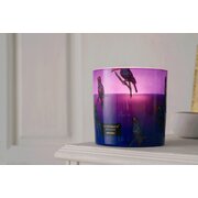 Lumanare parfumata Vila Hermanos Jungletopia Toucan Rainforest 200g