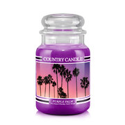 Lumanare Country Candle Purple Palm lumanare mare cu 2 fitiluri parfumate (652 g)