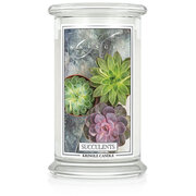 Kringle Candle Succulents lumanare parfumata mare cu 2 fitiluri (624 g)