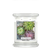Lumânare parfumată Kringle Candle Succulents mediu 2 fitil (411 g)