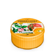 Lumânare parfumată Kringle Candle Essentials lumânare parfumată (42 g)