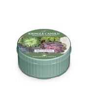 Lumanare Kringle Candle Succulents lumanare parfumata lumanare parfumata (42 g)