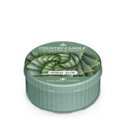 Lumanare Country Candle Spiral Aloe (42 g)