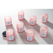 Lumanare parfumata Vila Hermanos Apothecary Rosa Zambila si Capsuni 150g