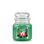 Lumanare Country Candle Holiday Sweets Lumanare parfumata medie cu 2 fitiluri (453 g)