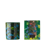 Lumanare parfumata Vila Hermanos Jungletopia BUTTERFLY 200g