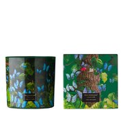 Vila Hermanos Jungletopia Lumanare parfumata Fluture 650g