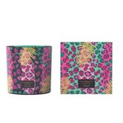 Lumanare parfumata Vila Hermanos Jungletopia WILD MUSK 650g