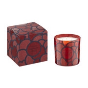 Lumanare parfumata Vila Hermanos '70 Poppy & Galbenele 500g