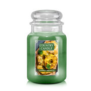 Lumânare Country Canle Charred Pineapple Lumânare mare cu 2 fitiluri parfumate (737 g)