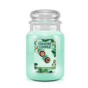 Lumanare Country Candle Lemon Tea & Roses lumanare mare cu 2 fitiluri parfumate (737 g)