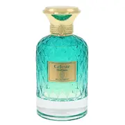 Flavia Celestc Horizon Apă de parfum 100ml