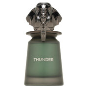 French Avenue Thunder Apă de parfum 100ml