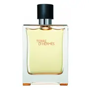 Hermes Terre D'Hermes Apa de toaletă - Tester 100ml