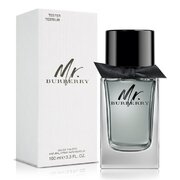 domnule Burberry Apa de toaleta Burberry - Tester