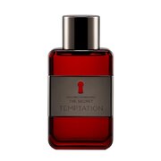 Antonio Banderas The Secret Temptation Apă de toaletă 100ml