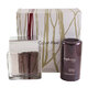 Set cadou Calvin Klein Euphoria for Men, apa de toaleta 100ml + deostick 75g (Set de calatorie)