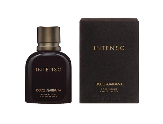 dolce-gabbana-intenso-pour-homme-parfemova-voda-s-rozprasovacem_14182589.jpg