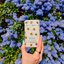 Miniatură: Wild honey & cactus flower bee case deostick, 40 g - 486620586_1149102190348562_6774521135099687929_n