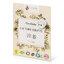 Miniatură: Pracie pásiky issencia na 2 prania camibaby - Issencia - Camibaby - 02
