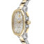 Miniatură: 