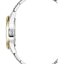 Miniatură: 