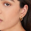 Miniatură: 