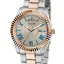 Miniatură: 