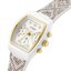 Miniatură: 