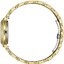 Miniatură: 