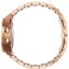 Miniatură: 